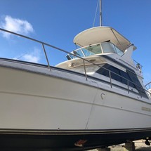 Sea ray 340 sport fish