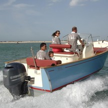 Rhea 23 Open