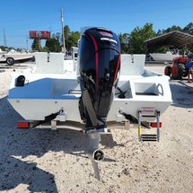 Lowe 20 Catfish