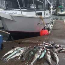 North River Seahawk OS 2900SXL