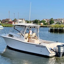 Grady-White Marlin 300