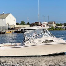 Grady-White Marlin 300
