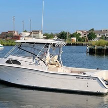 Grady-White Marlin 300