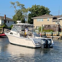 Grady-White Marlin 300