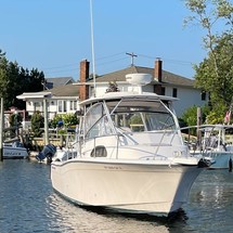 Grady-White Marlin 300