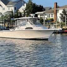 Grady-White Marlin 300