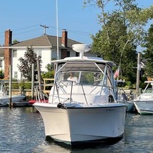 Grady-White Marlin 300