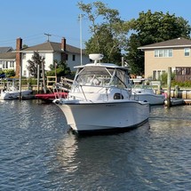 Grady-White Marlin 300
