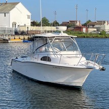 Grady-White Marlin 300