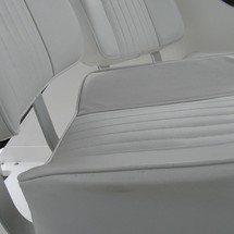 Blackfin 29 combi