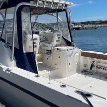 Boston Whaler 305 Conquest