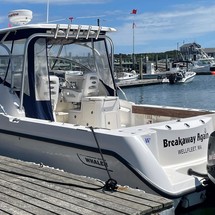 Boston Whaler 305 Conquest