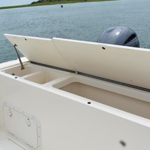 Pursuit 2870 center console
