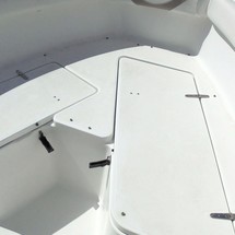 Sea Ray hunt ultra 211