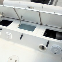 Sea Ray hunt ultra 211