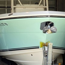 Cobia 237