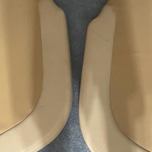 Cobia 237