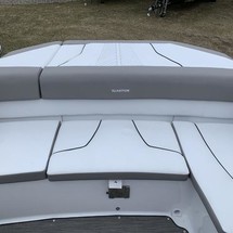 Glastron GTD 205