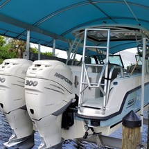 Boston Whaler 270 Vantage