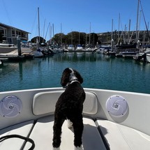 Bayliner VR5 BOWRIDER