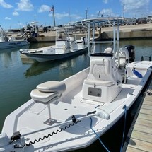 Blue wave 2200 pure bay