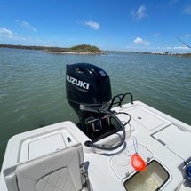 Blue wave 2200 pure bay