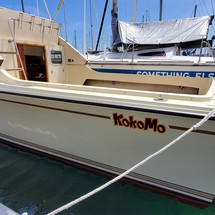 Skipjack 25 flybridge
