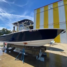 Sportsman heritage s 231