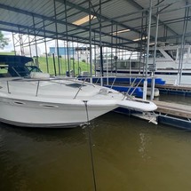 Sea Ray Sundancer 350