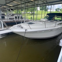 Sea Ray Sundancer 350