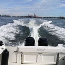 Boston Whaler 315 Conquest Pilothouse