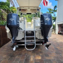 World cat 250 dc