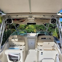 World cat 250 dc