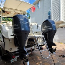 World cat 250 dc