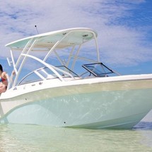 Sea Fox 226 Traveler