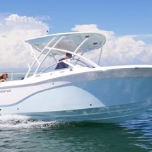 Sea Fox 226 Traveler