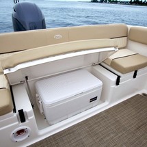 Sea Fox 226 Traveler