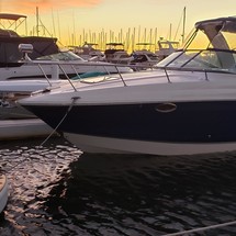 Chaparral 276 Signature