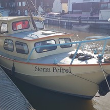 Haynie 25 custom