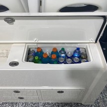 Cobia 217 center console