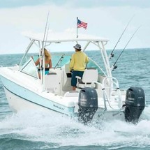 World cat 250 dc