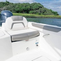 World cat 250 dc