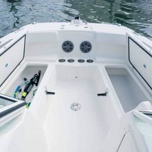 World cat 250 dc