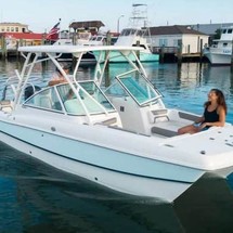 World cat 250 dc