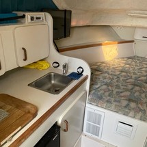 Wellcraft 290 Coastal