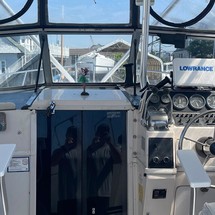 Wellcraft 290 Coastal