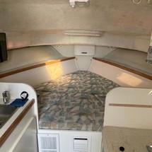 Wellcraft 290 Coastal