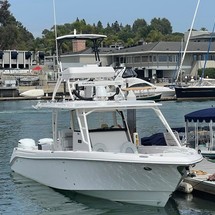 Everglades 355 cc