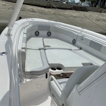 Everglades 355 cc