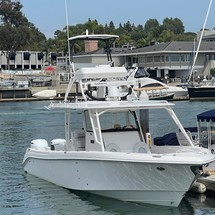 Everglades 355 cc